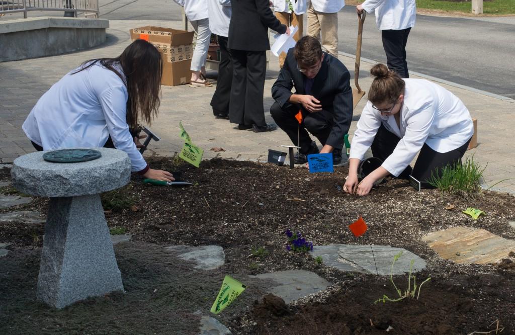 健康的职业 students planting herbs